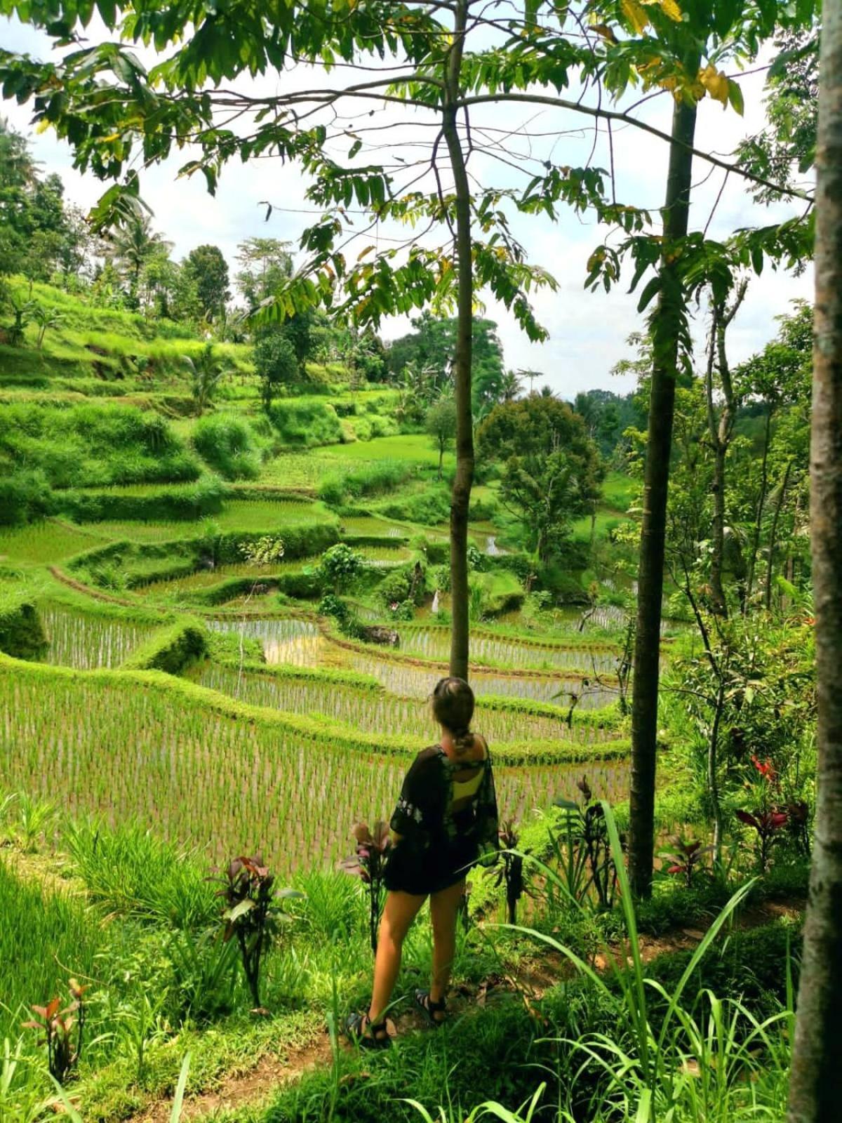 Tetebatu Hostel ภายนอก รูปภาพ